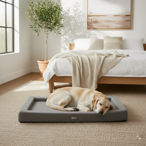 Premium Cushioned Dog Bed - Size Extra Large